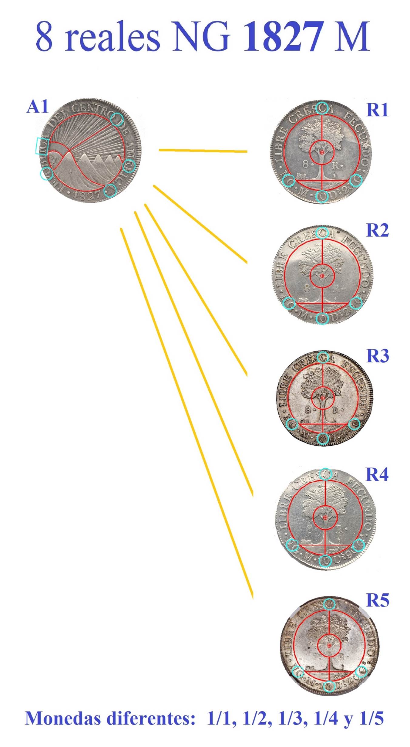 Imagen que contiene guitarra

Descripci&oacute;n generada autom&aacute;ticamente