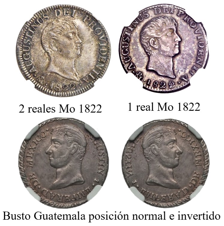 Imagen que contiene objeto, moneda, erizo de mar, acariosis
Descripción generada automáticamente